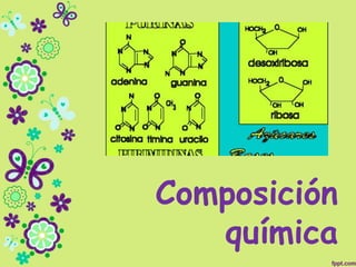 Composición
química
 