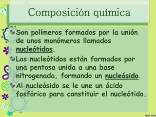 Composición química
Son polímeros formados por la unión
de unos monómeros llamados
nucleótidos.
Los nucleótidos están formados por
una pentosa unida a una base
nitrogenada, formando un nucleósido.
Al nucleósido se le une un ácido
fosfórico para constituir el nucleótido.
 