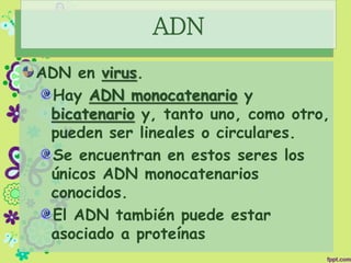 ADN
ADN en virus.
Hay ADN monocatenario y
bicatenario y, tanto uno, como otro,
pueden ser lineales o circulares.
Se encuentran en estos seres los
únicos ADN monocatenarios
conocidos.
El ADN también puede estar
asociado a proteínas
 