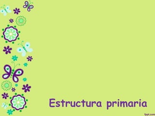 Estructura primaria
 
