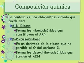 Composición química
La pentosa es una aldopentosa ciclada que
puede ser:
b-D-Ribosa.
Forma los ribonucleótidos que
constituyen el ARN
b-D-Desoxiribosa.
Es un derivado de la ribosa que ha
perdido el O del carbono 2.
Forma los desoxiribonucleótidos que
forman el ADN
 