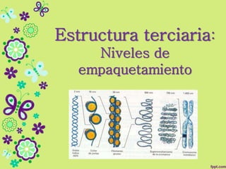 Estructura terciaria:
Niveles de
empaquetamiento
 