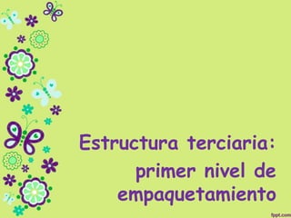 Estructura terciaria:
primer nivel de
empaquetamiento
 