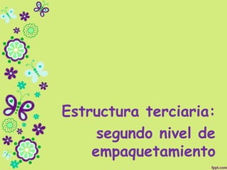 Estructura terciaria:
segundo nivel de
empaquetamiento
 