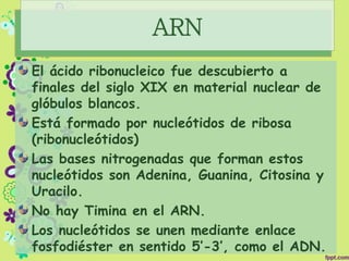 ARN
El ácido ribonucleico fue descubierto a
finales del siglo XIX en material nuclear de
glóbulos blancos.
Está formado por nucleótidos de ribosa
(ribonucleótidos)
Las bases nitrogenadas que forman estos
nucleótidos son Adenina, Guanina, Citosina y
Uracilo.
No hay Timina en el ARN.
Los nucleótidos se unen mediante enlace
fosfodiéster en sentido 5’-3’, como el ADN.
 