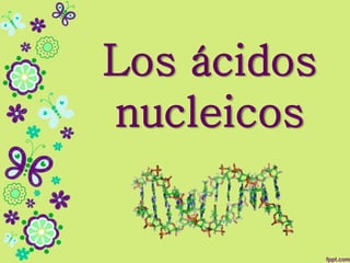 Los ácidos
nucleicos
 