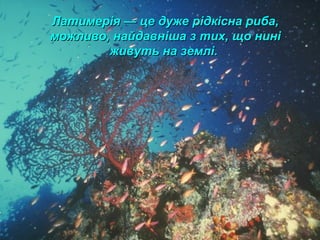 Латимерія — це дуже рідкісна риба,Латимерія — це дуже рідкісна риба,
можливо, найдавніша з тих, що ниніможливо, найдавніша з тих, що нині
живуть на землі.живуть на землі.
 