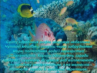 Світу коралових рифів загрожує небезпека.Світу коралових рифів загрожує небезпека.
Чутливі мешканці гинуть через забрудненняЧутливі мешканці гинуть через забруднення
моря, потепління води і варварствоморя, потепління води і варварство
аквалангістів. Корали одламубть зарадиаквалангістів. Корали одламубть заради
прикрас і сувенірів. Яскравих риб виловлюютьприкрас і сувенірів. Яскравих риб виловлюють
для продажу акваріумістам, а на молюсківдля продажу акваріумістам, а на молюсків
полюють заради їх красивих черепашок.полюють заради їх красивих черепашок.
 