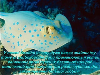 У темні безодні океану дуже важко знайти їжу,У темні безодні океану дуже важко знайти їжу,
тому ці глибоководні риби приманюють жертвитому ці глибоководні риби приманюють жертви
свіченням своєї луски. У багатьох цих рибсвіченням своєї луски. У багатьох цих риб
величезний рот і шлунок, що розтягується длявеличезний рот і шлунок, що розтягується для
заковтування більшої здобичі.заковтування більшої здобичі.
 