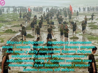 Морські водорості – природний компонентМорські водорості – природний компонент
морів і океанів. Ними живиться багато тварин.морів і океанів. Ними живиться багато тварин.
Але якщо у воду потрапляє багато добрив,Але якщо у воду потрапляє багато добрив,
водорості бурхливо розростаються іводорості бурхливо розростаються і
забруднюють воду. У процесі гниття вонизабруднюють воду. У процесі гниття вони
поглинають дуже багато кисню і морськіпоглинають дуже багато кисню і морські
істоти гинуть від задухи.істоти гинуть від задухи.
 
