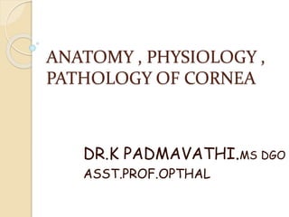 ANATOMY , PHYSIOLOGY ,
PATHOLOGY OF CORNEA
DR.K PADMAVATHI.MS DGO
ASST.PROF.OPTHAL
 