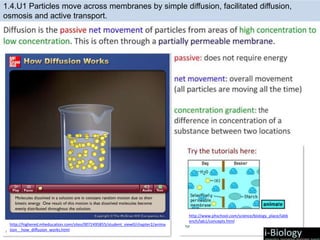 1.4 Part 1 - Cell Transport | PPTX