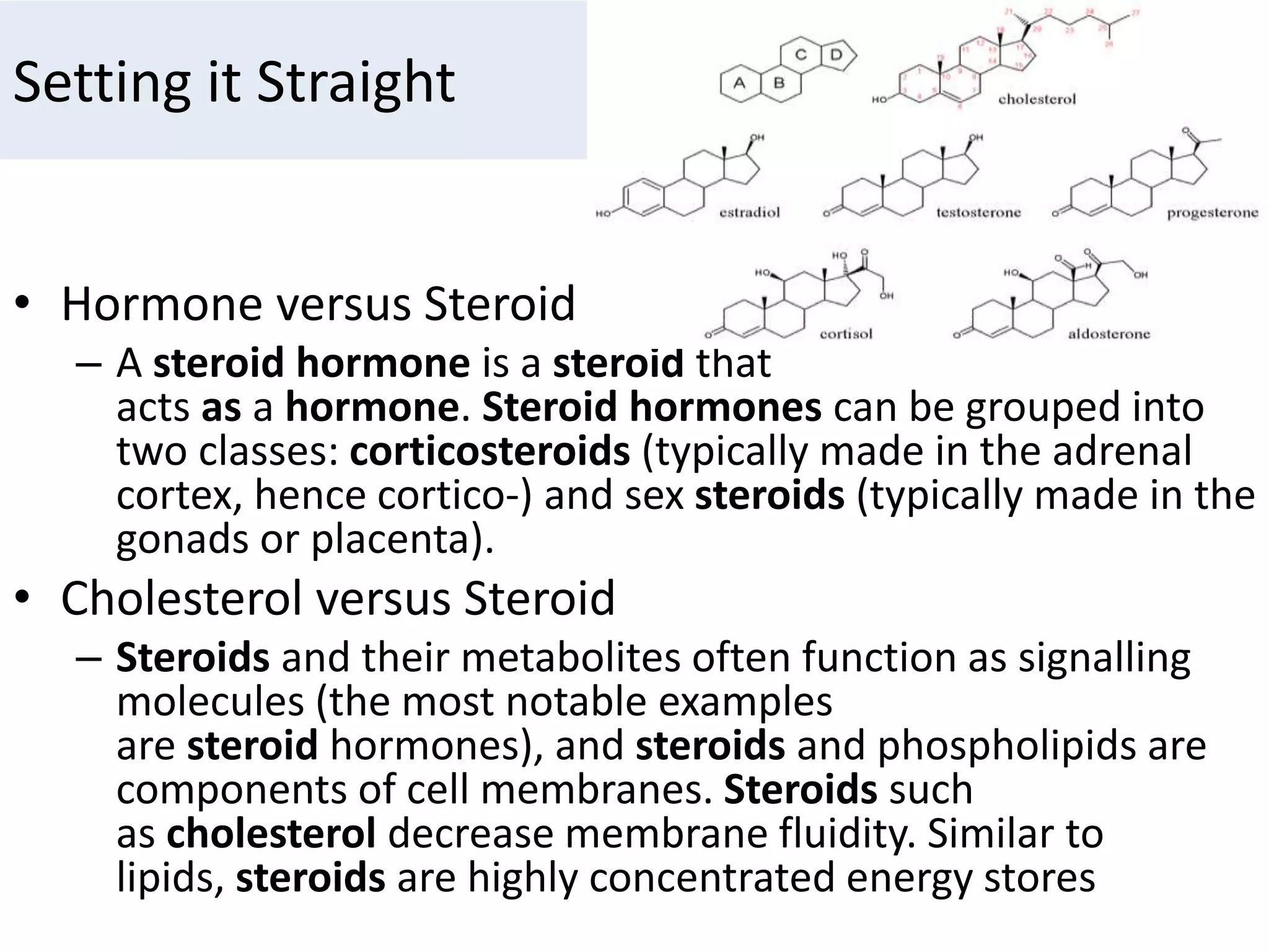 Setting it Straight
• Hormone versus Steroid
– A steroid hormone is a steroid that
acts as a hormone. Steroid hormones can be grouped into
two classes: corticosteroids (typically made in the adrenal
cortex, hence cortico-) and sex steroids (typically made in the
gonads or placenta).
• Cholesterol versus Steroid
– Steroids and their metabolites often function as signalling
molecules (the most notable examples
are steroid hormones), and steroids and phospholipids are
components of cell membranes. Steroids such
as cholesterol decrease membrane fluidity. Similar to
lipids, steroids are highly concentrated energy stores
 