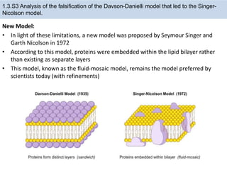 New Model:
• In light of these limitations, a new model was proposed by Seymour Singer and
Garth Nicolson in 1972
• According to this model, proteins were embedded within the lipid bilayer rather
than existing as separate layers
• This model, known as the fluid-mosaic model, remains the model preferred by
scientists today (with refinements)
1.3.S3 Analysis of the falsification of the Davson-Danielli model that led to the Singer-
Nicolson model.
 