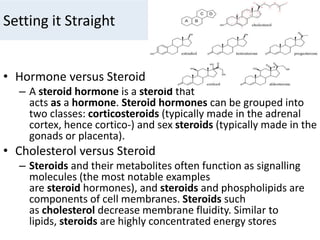 Setting it Straight
• Hormone versus Steroid
– A steroid hormone is a steroid that
acts as a hormone. Steroid hormones can be grouped into
two classes: corticosteroids (typically made in the adrenal
cortex, hence cortico-) and sex steroids (typically made in the
gonads or placenta).
• Cholesterol versus Steroid
– Steroids and their metabolites often function as signalling
molecules (the most notable examples
are steroid hormones), and steroids and phospholipids are
components of cell membranes. Steroids such
as cholesterol decrease membrane fluidity. Similar to
lipids, steroids are highly concentrated energy stores
 