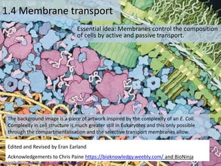 By Chris Paine
https://bioknowledgy.weebly.com/
1.4 Membrane transport
Essential idea: Membranes control the composition
of cells by active and passive transport.
The background image is a piece of artwork inspired by the complexity of an E. Coli.
Complexity in cell structure is much greater still in Eukaryotes and this only possible
through the compartmentalisation and the selective transport membranes allow.
Edited and Revised by Eran Earland
Acknowledgements to Chris Paine https://bioknowledgy.weebly.com/ and BioNinja
http://onlinelibrary.wiley.com/doi/10.1002/bmb.20345/full#fig2
 