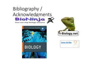 Bibliography /
Acknowledgments
Jason de Nys
 