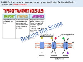 1.4.U1 Particles move across membranes by simple diffusion, facilitated diffusion,
osmosis and active transport.
 
