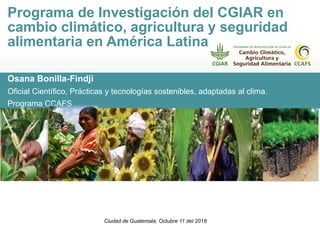 Osana Bonilla-Findji
Oficial Científico, Prácticas y tecnologías sostenibles, adaptadas al clima.
Programa CCAFS
Programa de Investigación del CGIAR en
cambio climático, agricultura y seguridad
alimentaria en América Latina
Ciudad de Guatemala, Octubre 11 del 2018
 