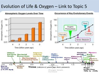 Evolution of Life & Oxygen – Link to Topic 5
 