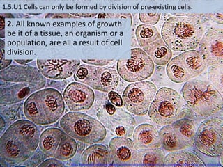 1.5.U1 Cells can only be formed by division of pre-existing cells.
2. All known examples of growth
be it of a tissue, an organism or a
population, are all a result of cell
division.
http://upload.wikimedia.org/wikipedia/commons/thumb/d/d3/Onion_root_mitosis.jpg/749px-Onion_root_mitosis.jpg
 