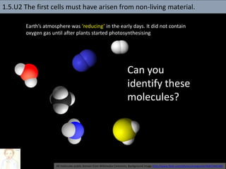 Earth’s atmosphere was ‘reducing’ in the early days. It did not contain
oxygen gas until after plants started photosynthesising
All molecules public domain from Wikimedia Commons, Background image http://www.flickr.com/photos/lrargerich/4587244190/
Can you
identify these
molecules?
1.5.U2 The first cells must have arisen from non-living material.
 