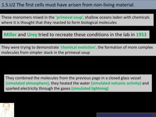These monomers mixed in the ‘primeval soup’, shallow oceans laden with chemicals
where it is thought that they reacted to form biological molecules
Miller and Urey tried to recreate these conditions in the lab in 1953
They were trying to demonstrate ‘chemical evolution’, the formation of more complex
molecules from simpler stock in the primeval soup
They combined the molecules from the previous page in a closed glass vessel
(simulated atmosphere), they heated the water (simulated volcanic activity) and
sparked electricity through the gases (simulated lightning)
http://www.flickr.com/photos/afeman/663646181/
1.5.U2 The first cells must have arisen from non-living material.
 