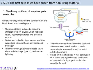 Carny http://upload.wikimedia.org/wikipedia/commons/5/59/MUexperiment.png
1.5.U2 The first cells must have arisen from non-living material.
Miller and Urey recreated the conditions of pre-
biotic Earth in a closed system.
• These conditions included a reducing
atmosphere (low oxygen), high radiation
levels, high temperatures and electrical
storms
• Water was boiled to form vapour and then
was mixed with methane, ammonia and
hydrogen
• The mixture of gases was exposed to an
electrical discharge (sparks) to simulate
lightning
• The mixture was then allowed to cool and
after one week was found to contain
some simple amino acids and complex
oily hydrocarbons
• Based on these findings, it was concluded
that under the hypothesised conditions
of pre-biotic Earth, organic molecules
could be formed
1. Non-living synthesis of simple organic
molecules:
 