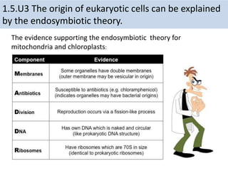 1.5.U3 The origin of eukaryotic cells can be explained
by the endosymbiotic theory.
The evidence supporting the endosymbiotic theory for
mitochondria and chloroplasts:
 