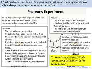 1.5.A1 Evidence from Pasteur’s experiments that spontaneous generation of
cells and organisms does not now occur on Earth.
Method:
• Two experiments were setup
• In both, Pasteur added nutrient broth to
flasks and bent the necks of the flasks into S
shapes
• Each flask was then heated to boil the broth
in order than all existing microbes were
killed.
• After the broth had been sterilized, Pasteur
broke off the swan necks from the flasks in
Experiment 1, exposing the nutrient broth
within them to air from above.
• The flasks in Experiment 2 were left alone.
http://bcs.whfreeman.com/thelifewire/content/chp03/0302003.html
Results:
• The broth in experiment 1 turned
cloudy whilst the broth in experiment
2 remained clear.
• This indicates that microbe growth
only occurred in experiment 1.
Conclusion: Pasteur rejected
the hypothesis of
spontaneous generation as for
growth of microbes to occur a
source of contamination was
needed.
Louis Pasteur designed an experiment to test
whether sterile nutrient broth could
spontaneously generate microbial life.
Q – was Pasteur correct, could
spontaneous generation of life
never occur?
 