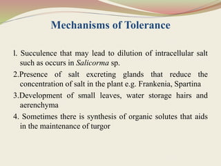 Mechanisms of Tolerance
l. Succulence that may lead to dilution of intracellular salt
such as occurs in Salicorma sp.
2.Presence of salt excreting glands that reduce the
concentration of salt in the plant e.g. Frankenia, Spartina
3.Development of small leaves, water storage hairs and
aerenchyma
4. Sometimes there is synthesis of organic solutes that aids
in the maintenance of turgor
 