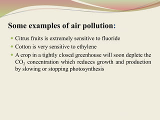 Some examples of air pollution:
 Citrus fruits is extremely sensitive to fluoride
 Cotton is very sensitive to ethylene
 A crop in a tightly closed greenhouse will soon deplete the
CO2 concentration which reduces growth and production
by slowing or stopping photosynthesis
 