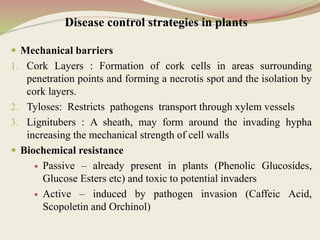  Mechanical barriers
1. Cork Layers : Formation of cork cells in areas surrounding
penetration points and forming a necrotis spot and the isolation by
cork layers.
2. Tyloses: Restricts pathogens transport through xylem vessels
3. Lignitubers : A sheath, may form around the invading hypha
increasing the mechanical strength of cell walls
 Biochemical resistance
 Passive – already present in plants (Phenolic Glucosides,
Glucose Esters etc) and toxic to potential invaders
 Active – induced by pathogen invasion (Caffeic Acid,
Scopoletin and Orchinol)
Disease control strategies in plants
 
