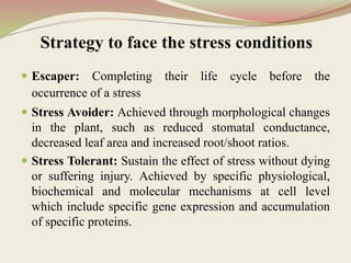 Strategy to face the stress conditions
 Escaper: Completing their life cycle before the
occurrence of a stress
 Stress Avoider: Achieved through morphological changes
in the plant, such as reduced stomatal conductance,
decreased leaf area and increased root/shoot ratios.
 Stress Tolerant: Sustain the effect of stress without dying
or suffering injury. Achieved by specific physiological,
biochemical and molecular mechanisms at cell level
which include specific gene expression and accumulation
of specific proteins.
 