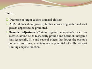 Conti..
 Decrease in turgor causes stomatal closure
 ABA inhibits shoot growth, further conserving water and root
growth appears to be promoted,
Osmotic adjustment-Certain organic compounds such as
sucrose, amino acids (especially proline and betaine), inorganic
ions (especially K+) and several others that lower the osmotic
potential and thus, maintain water potential of cells without
limiting enzyme function.
 