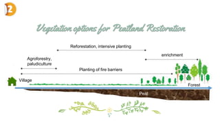 Protection and management of peatland ecosystem | PDF
