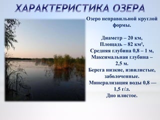 Озеро неправильной круглой
формы.
Диаметр – 20 км,
Площадь – 82 км²,
Средняя глубина 0,8 – 1 м,
Максимальная глубина –
2,5 м.
Берега низкие, извилистые,
заболоченные.
Минерализация воды 0,8 —
1,5 г/л.
Дно илистое.
 