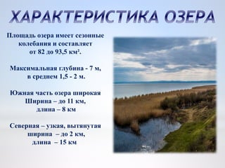 Площадь озера имеет сезонные
колебания и составляет
от 82 до 93,5 км².
Максимальная глубина - 7 м,
в среднем 1,5 - 2 м.
Южная часть озера широкая
Ширина – до 11 км,
длина – 8 км
Северная – узкая, вытянутая
ширина – до 2 км,
длина – 15 км
 