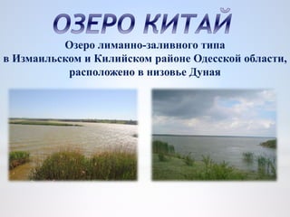 Озеро лиманно-заливного типа
в Измаильском и Килийском районе Одесской области,
расположено в низовье Дуная
 