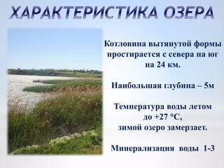 Котловина вытянутой формы
простирается с севера на юг
на 24 км.
Наибольшая глубина – 5м
Температура воды летом
до +27 °C,
зимой озеро замерзает.
Минерализация воды 1-3
 