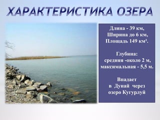 Длина - 39 км,
Ширина до 6 км,
Площадь 149 км².
Глубина:
средняя -около 2 м,
максимальная - 5,5 м.
Впадает
в Дунай через
озеро Кугурлуй
 