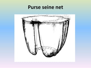 Purse seine net
 