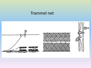 Trammel net
 