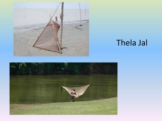 Thela Jal
 