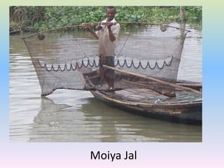 Moiya Jal
 