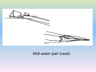 Mid water pair trawls
 