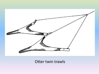 Otter twin trawls
 