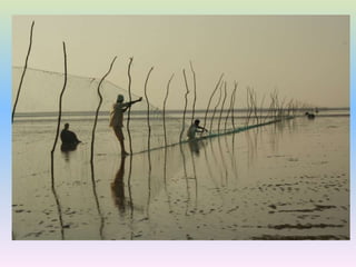Fishing gear