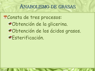 ANABOLISMO DE GRASAS
Consta de tres procesos:
Obtención de la glicerina.
Obtención de los ácidos grasos.
Esterificación.
 