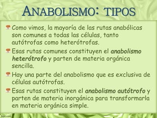 ANABOLISMO: TIPOS
Como vimos, la mayoría de las rutas anabólicas
son comunes a todas las células, tanto
autótrofas como heterótrofas.
Esas rutas comunes constituyen el anabolismo
heterótrofo y parten de materia orgánica
sencilla.
Hay una parte del anabolismo que es exclusiva de
células autótrofas.
Esas rutas constituyen el anabolismo autótrofo y
parten de materia inorgánica para transformarla
en materia orgánica simple.
 